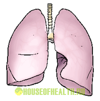 Bronchial asthma classification
